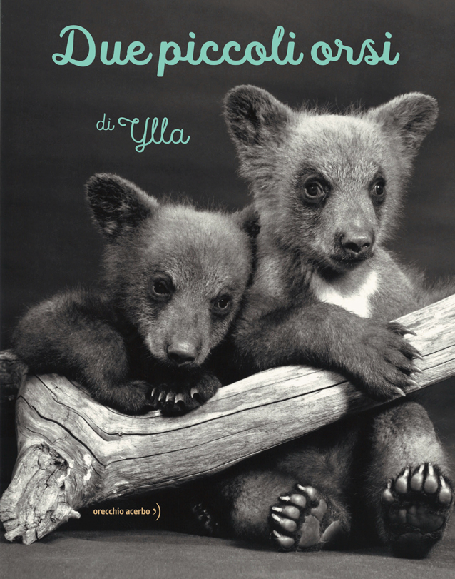 copertina del libro Due piccoli orsi, di Ylla