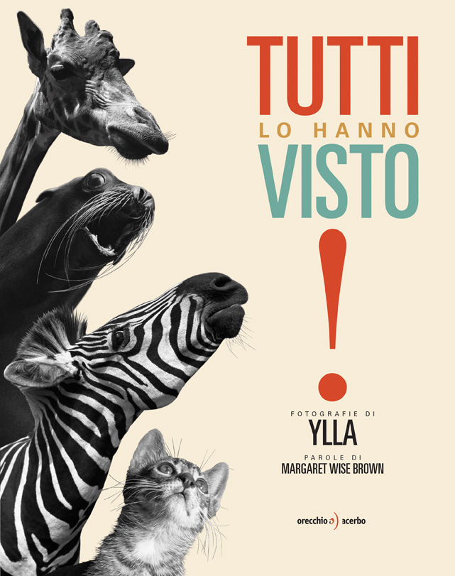 Copertina del libro Tutti lo hanno visto!, di Margaret Wise Brown e Ylla